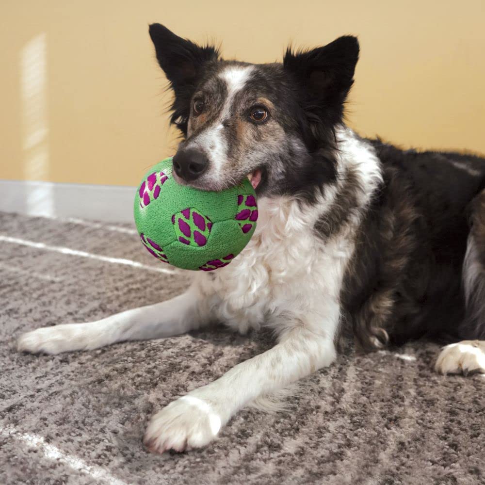 KONG Sneakerz Sport Disc with Rope for Medium Dogs, Multicolored - Image 2