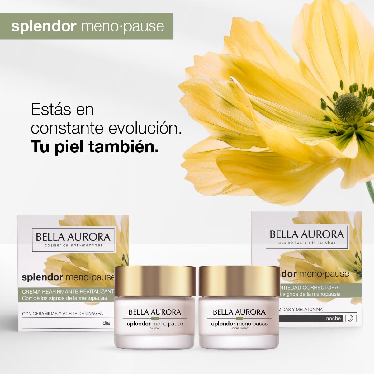 Bella Aurora Splendor Menopause Noche | Crema antiedad correctora para piel madura | Regenera durante la noche, reduce arrugas, aporta firmeza y densidad | Con ceramidas y melatonina | 50ml