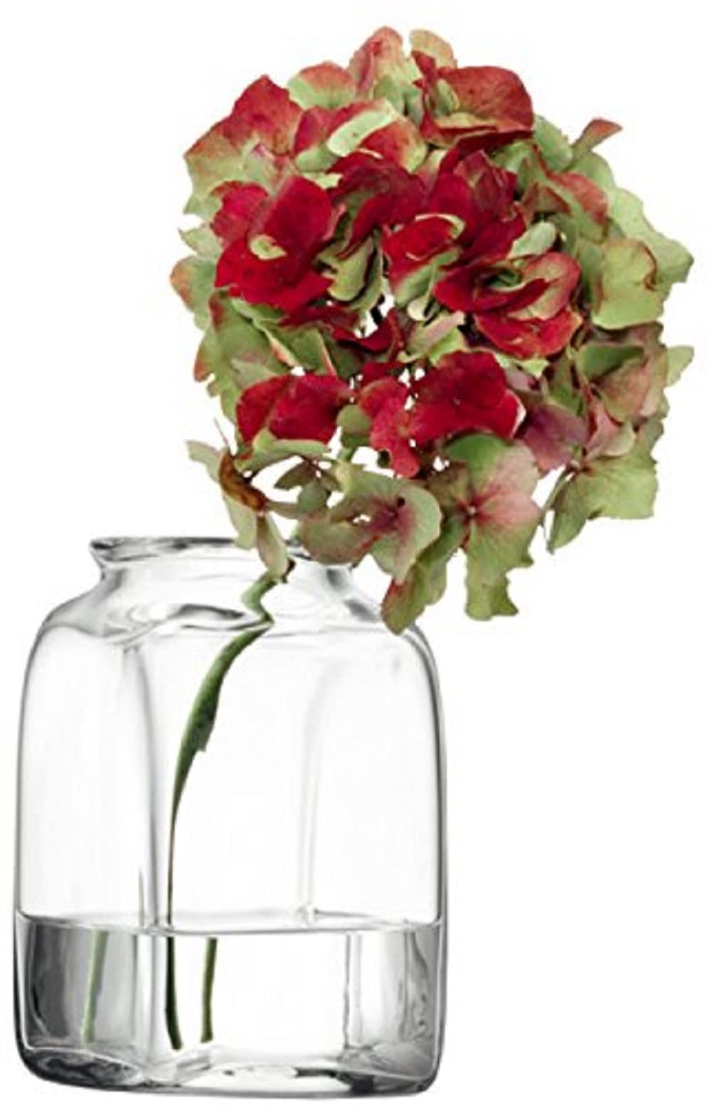 【ガラスの花器】✴︎オーラを放つ存在感✴︎ Amazon.co.jp: LSA(エルエスエー) フラワーベース(花器) クリア 高さ
