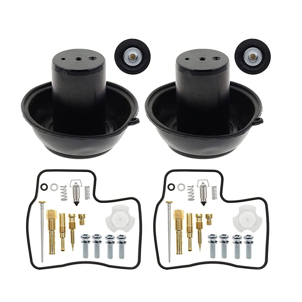 Riloer Juego de reconstrucción de carburador, kit de reparación de carburador compatible con Honda Steed Shadow 600, VT 600, VLX 600 1994-2003