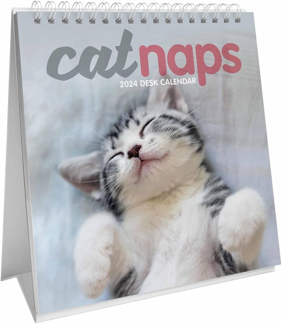 Carousel Calendars Cat Naps Easel Desk 2024