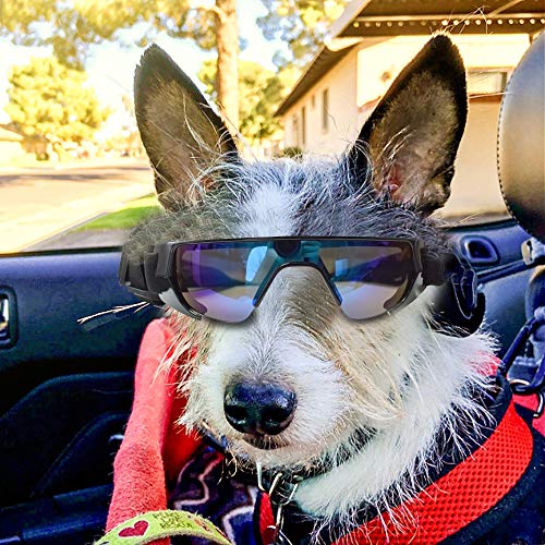 Lunettes de soleil pour chien et chat avec protection yeux chiot - 7