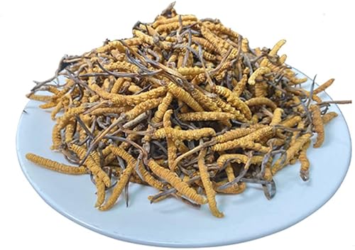 Cordyceps Sinensis, 100% Cordyceps salvaje, hongo Cordyceps Sinensis entero del Himalaya 100% Dong Chong Xia Cao hongo de oruga china, gusano de