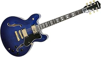 Amazon | PLAYTECH プレイテック セミアコースティックギター SA500