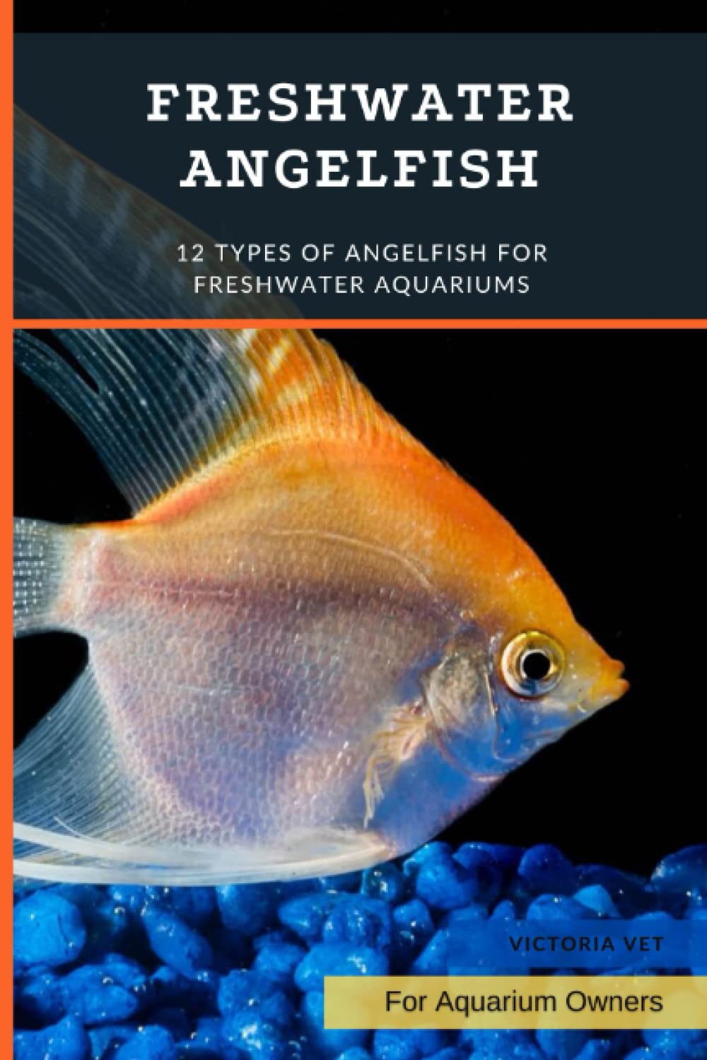 Freshwater Angelfish: 12 Types of Angelfish for Freshwater Aquariums