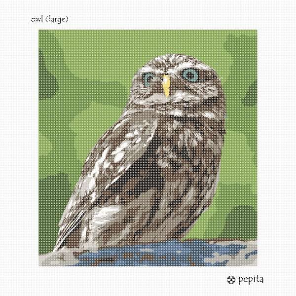 Amazon.co.jp: フクロウNeedlepointキャンバス Large (Canvas Only