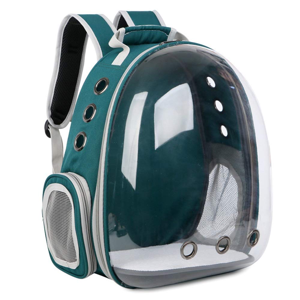 Sac pour chat anti-stress : capsule transparente et respirante verte