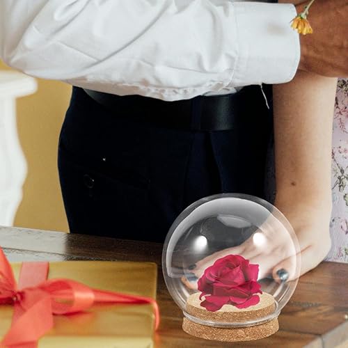 Miniatura 9 de 5 piezas de cúpula de cristal con cubierta de cristal de flores de corcho, cubierta de adorno de flores, vitrinas decorativas para almacenamiento