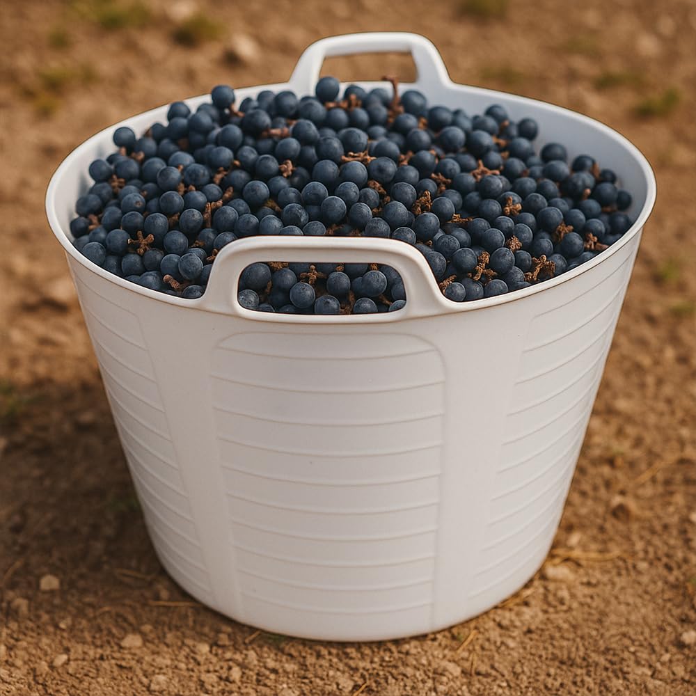 Pack 12 Capazos Blancos 42L Uso Alimentario Sin BPA Cocina y Hostelería | Hecho en España. Cumple Normativa Europea alimentaria. Resiste uso profesional intensivo en cocinas, restaurantes, cámaras
