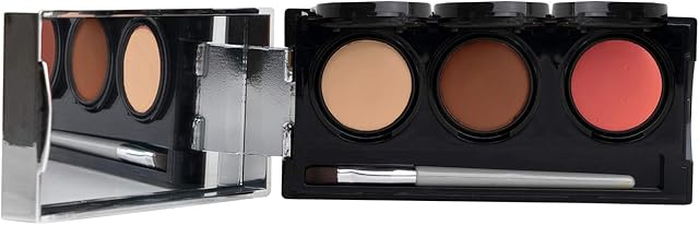 Tattoo Cover Up Makeup, Bruise Concealer, Waterproof, Smudge proof, 3 colors + brush, by Dermaflage, 6.9g/.24oz