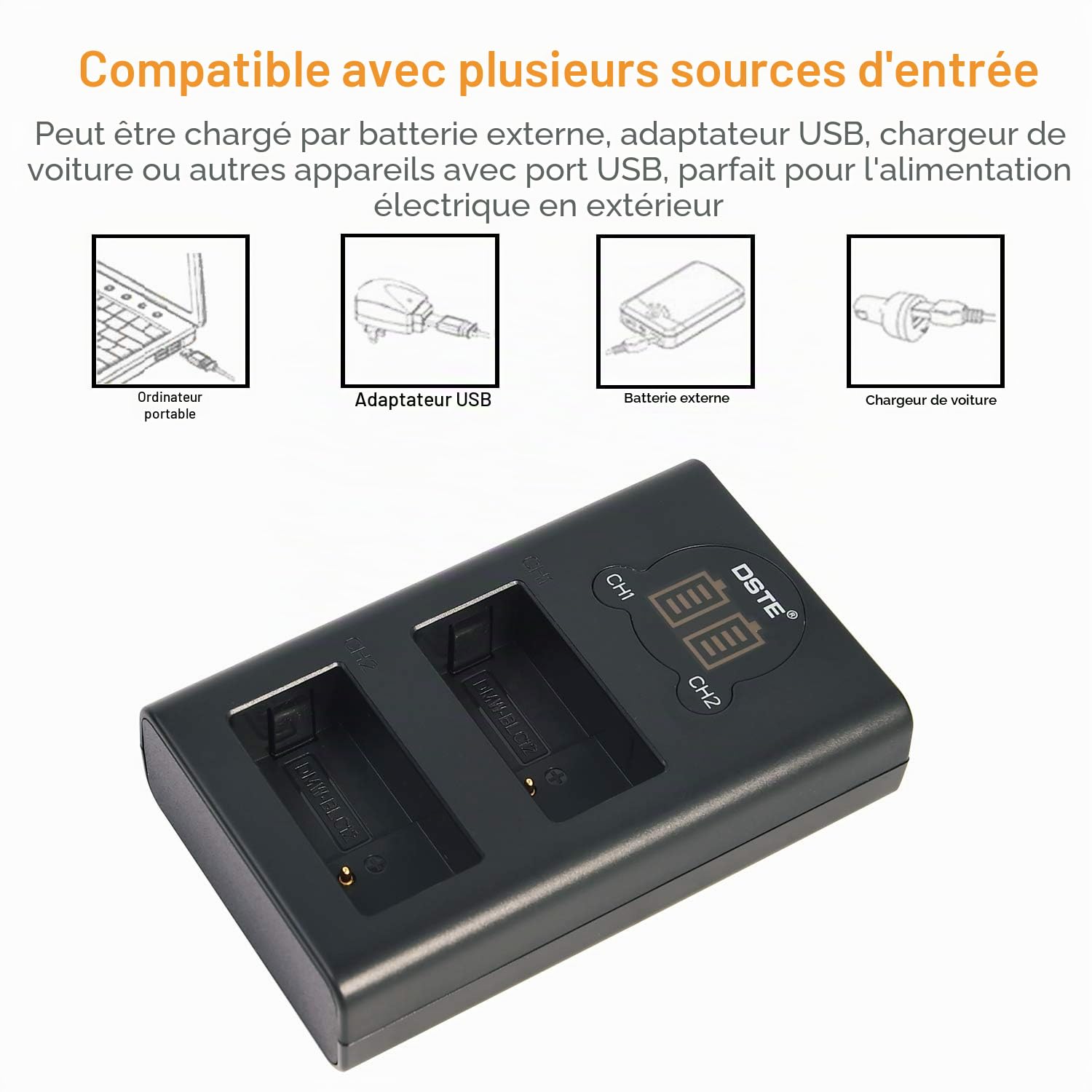 DSTE® Lot de 2 Batteries DMW-BLC12 DMW-BLC12e + kit de Chargeur Rapide Double USB pour appareils Photo Panasonic Lumix DMC-GH2 DMC-FZ330 DMC-FZ200 DMC-FZ200GK DMC-FZ1000 V-LUX4 Leica Q comme
