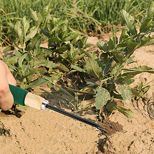 YG_Oline 4 Pack Weeder Tool for Garden, Weed Picker Hand Weeder Weed Puller Hand Tool Dandelion Fork Weed Remover Tools