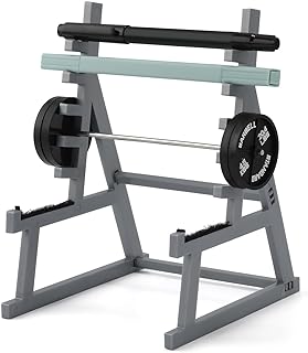 Squat Rack Pen Holder, Squat Rack Office Decor Mini Barbell Rack Pen Holder Desktop Squat Rack Pen Holder with Weights & Barbells for Office Gym Decorations for Fitness Weightlifting Lovers