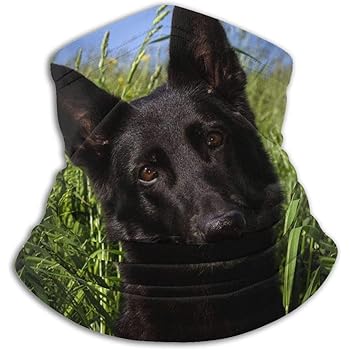 german shepherd clothing