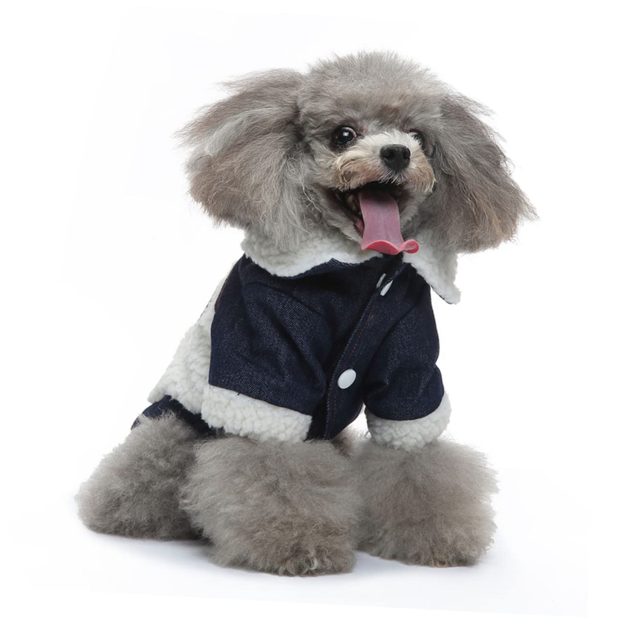 YARNOW 2pièces Manteau Hiver pour Chien Coton Respirant Chaude Et Coupe-Vent pour Animaux Vêtement Stylé Et Confortable Beige