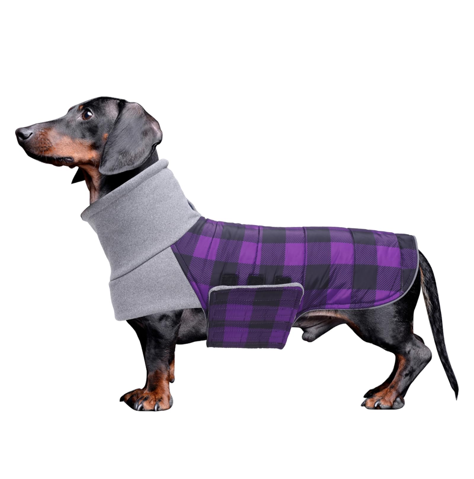 Geyecete Warm Thermal Quilted Dachshund Coat,High Neckine String Holes Dachshund jacketOutdoor Dog Apparel with Adjustable Bands-Purple-M