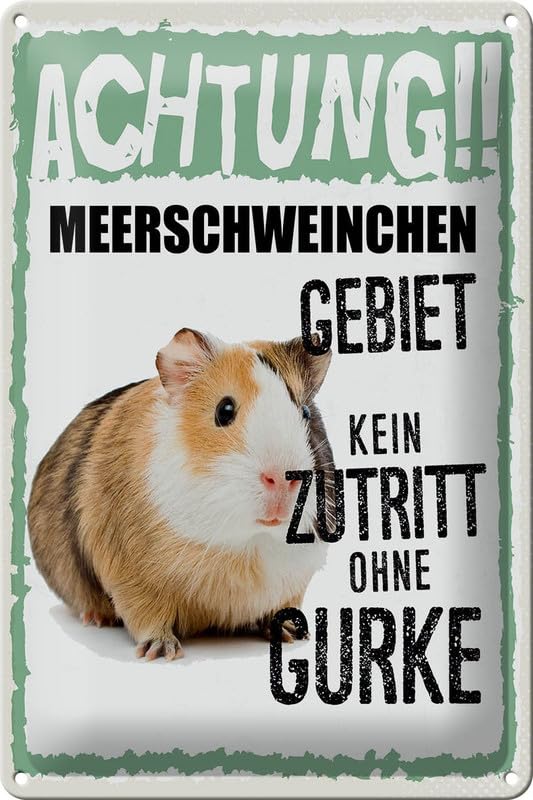 mrdeco Metall Schild 20x30cm gewölbt Tiere Achtung Meerschweinchen Deko Blechschild Tin Sign