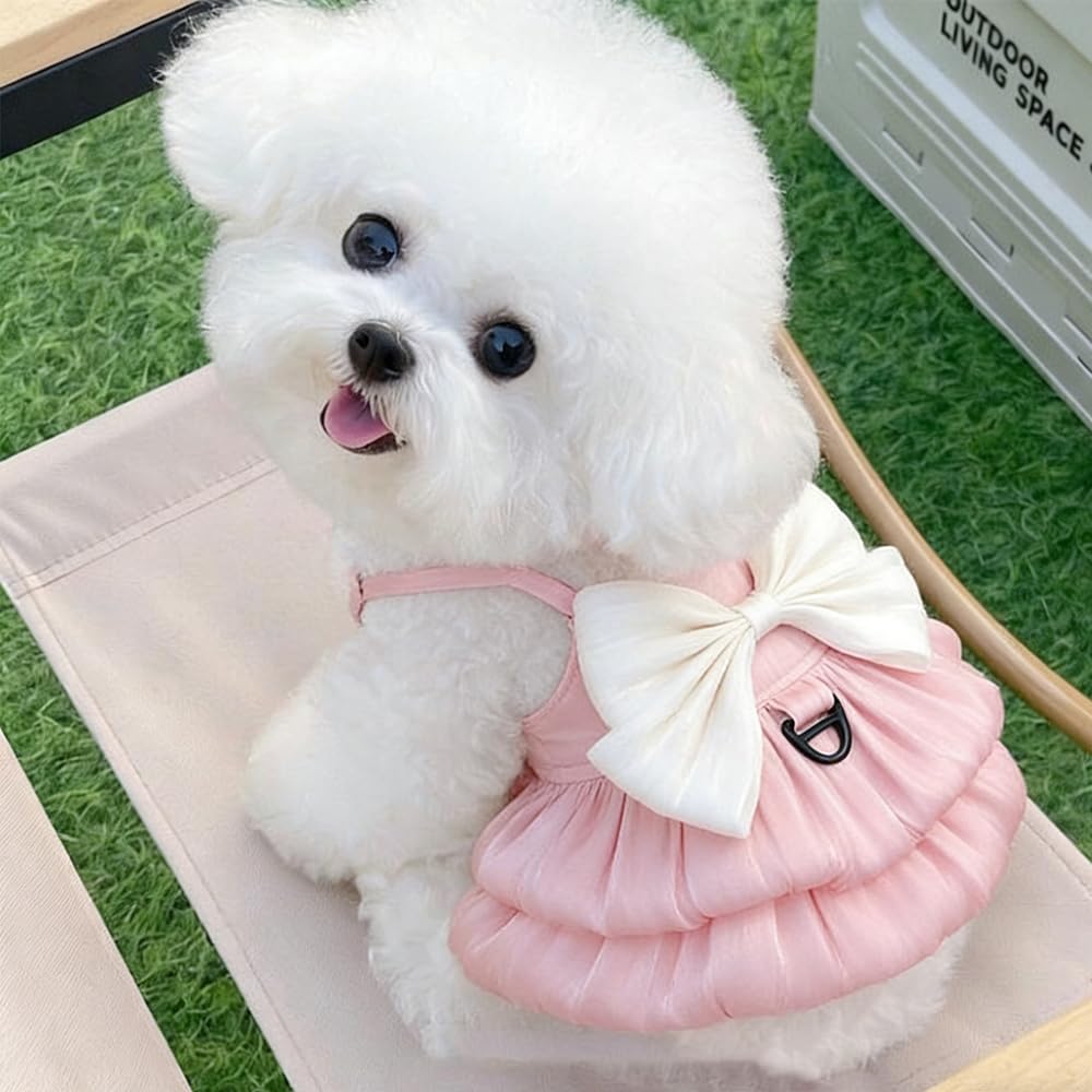 Vestito da Principessa per Cani di Piccola Taglia e Gatti Abito Estivo con Gonna Tutu (Rosa M)