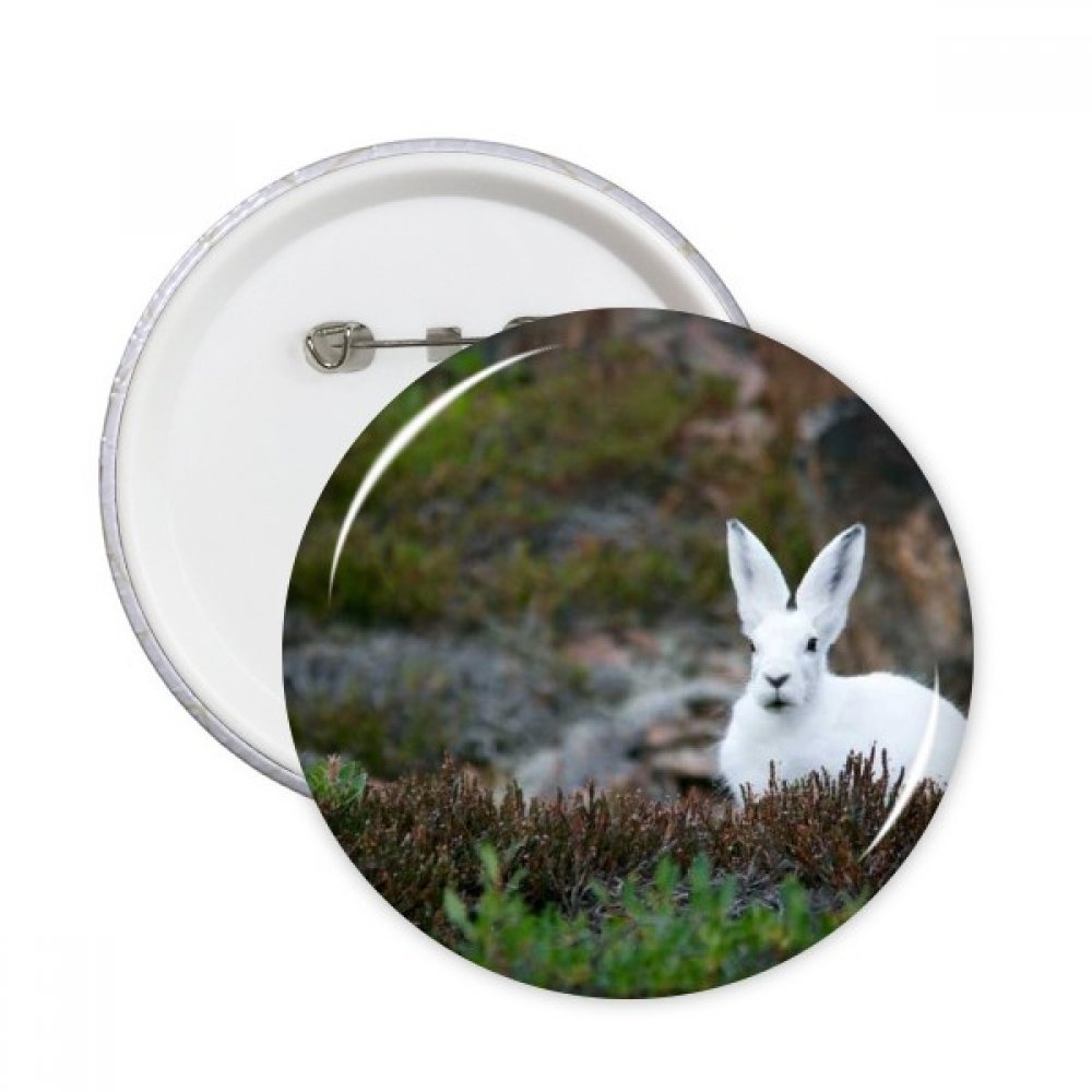 Badge bouton pins ronds Rabbits Nature Science DIYthinker pour décorer un sac à dos d'école - 3