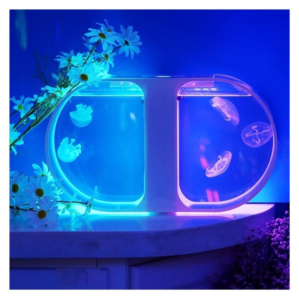 Aquarium Fischbecken mit Zwei Quallen, kleines dekoratives Schreibtisch-Aquarium, Büro- und Heimdekoration