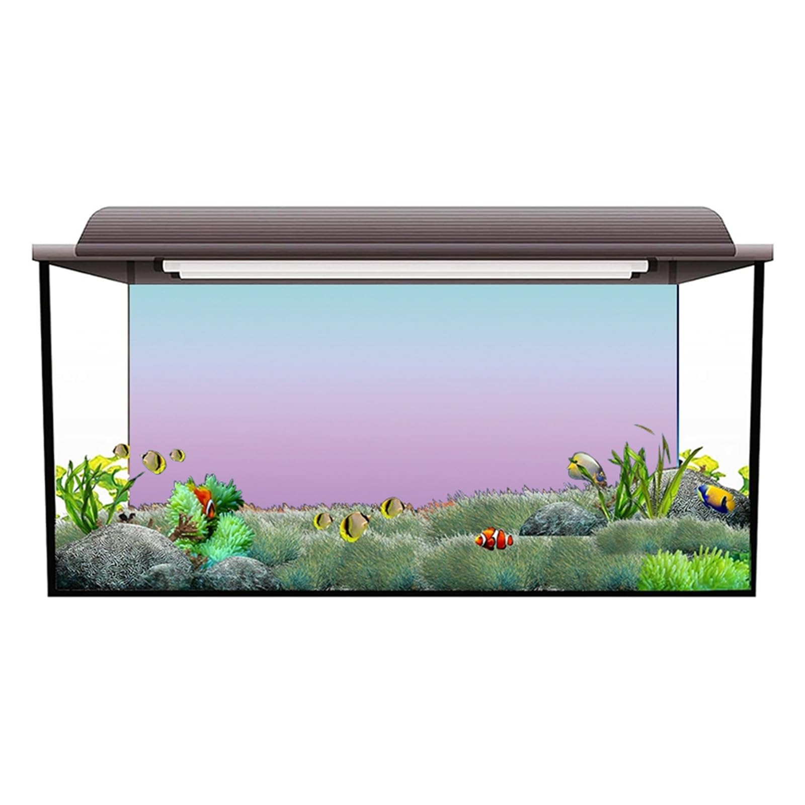 Fondo Acuario Vinilo Decorativo Fondo Acuario