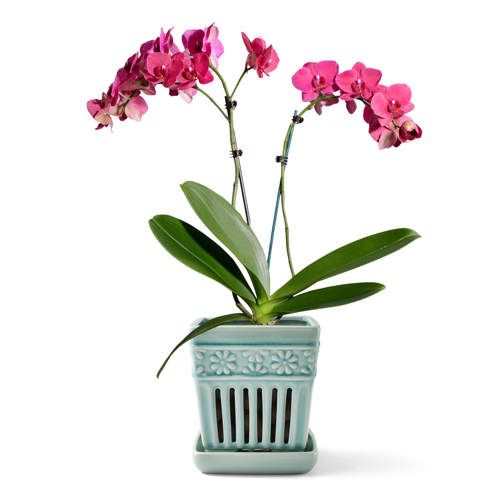 SUADEN Ceramic Orchid Pot Blue