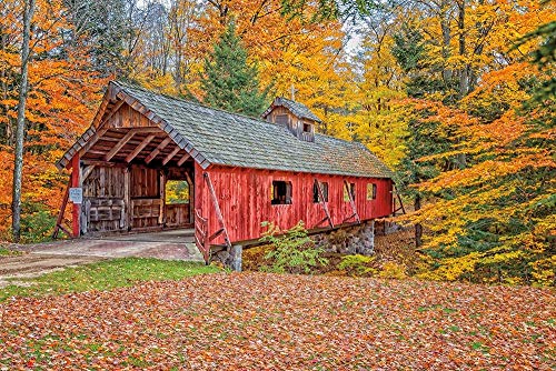 Posterazzi PDXPOD60790SMALL Loon Song Covered Bridge Photo Print, 24 x 18, Multi