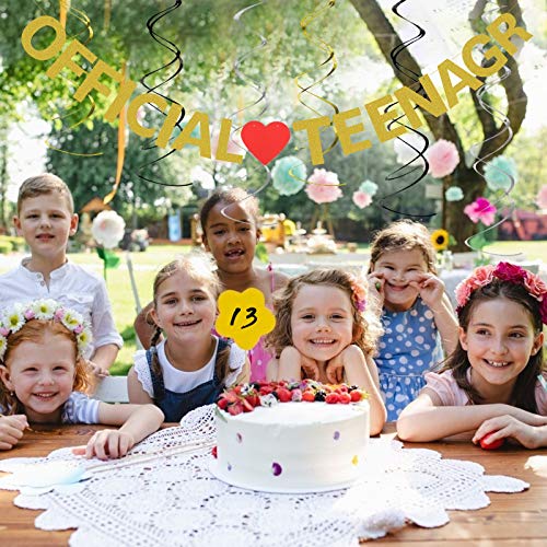 Official Teenager Banner, LANMOK 13th Happy Birthday Banner with 6pcs Glitter Ceiling Swirls Hanging Decor for 13th Birthday Party Supplies Ceremony Decorations