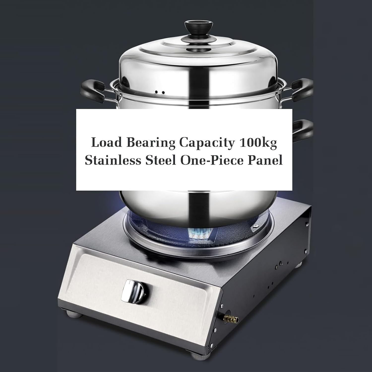 Outdoor Cooking Gas Cooker, 4.0KW LPG Gas Stove, Stainless Steel Catering Indoor Regulators, with Flameout Protection, for Home Kitchen