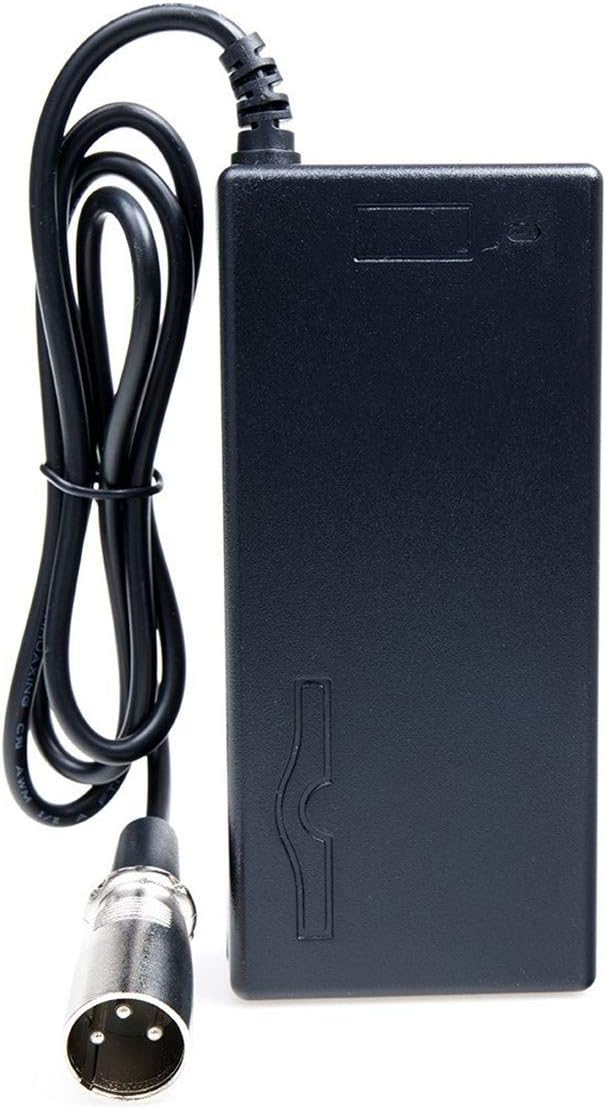 Eagleggo 24V 2A Electric Scooter Battery Charger for Go-Go Elite Traveller Plus HD US, Ezip Mountain Trailz Schwinn 4.0 S400 S500 : Sports & Outdoors