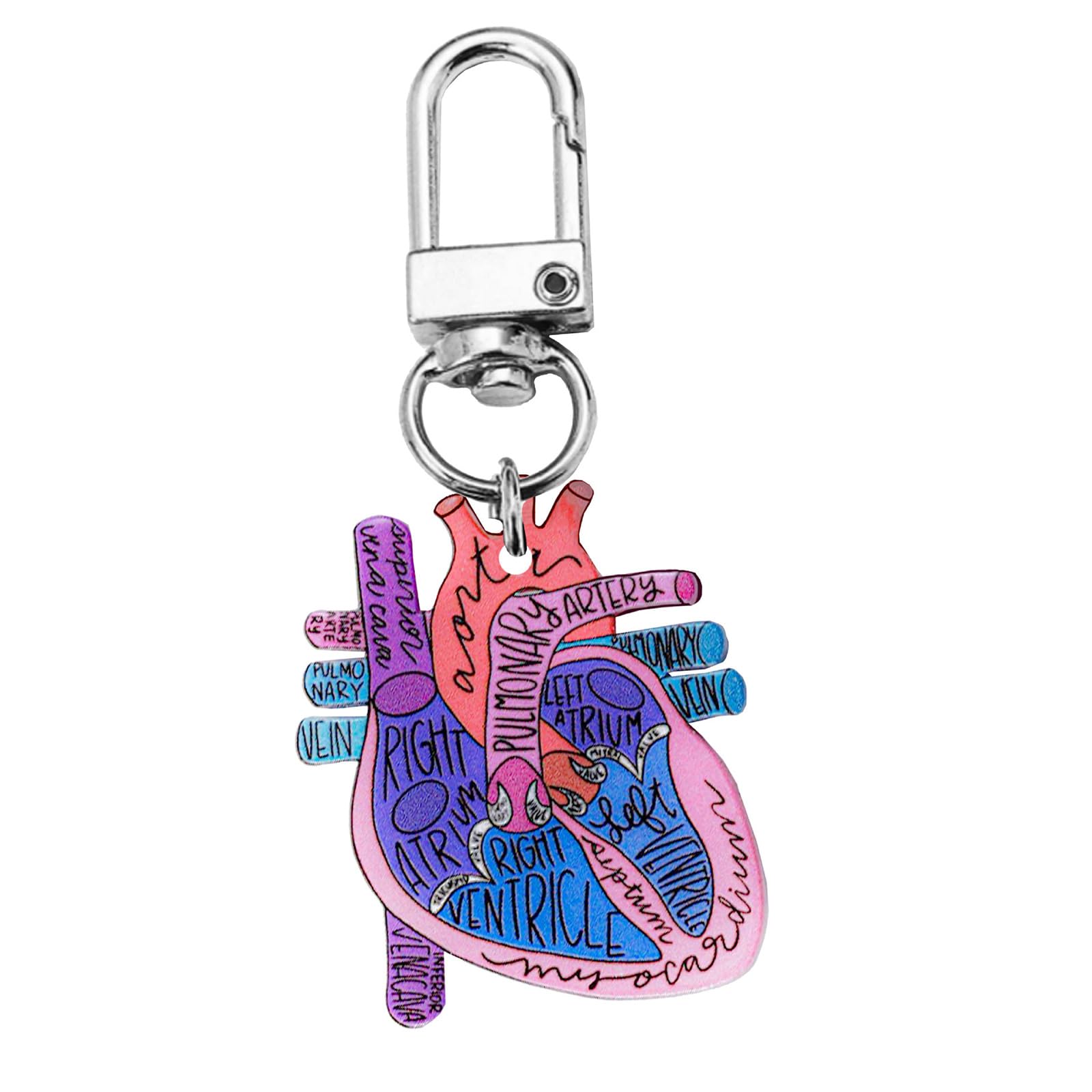 Gissroys Heart Diagram Keychain Detailed Keychain Accessory for Teaching Anatomy to Adults and Children Human Keyring