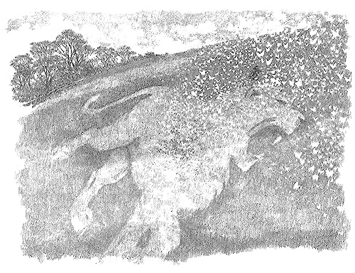 The Butterfly Lion: The classic illustrated children's story of unforgettable friendship - Image 7