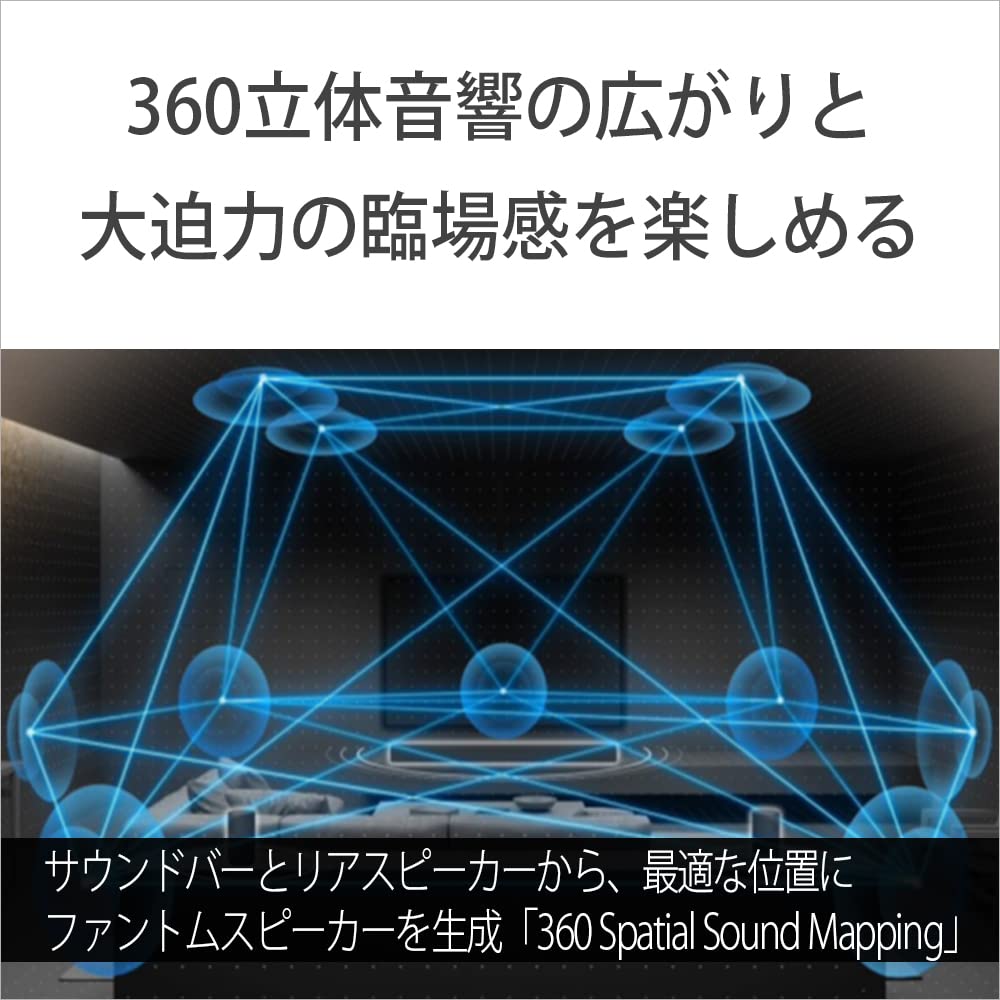 Amazon.co.jp: ソニー(SONY) リアスピーカー SA-RS5 バッテリー内蔵 