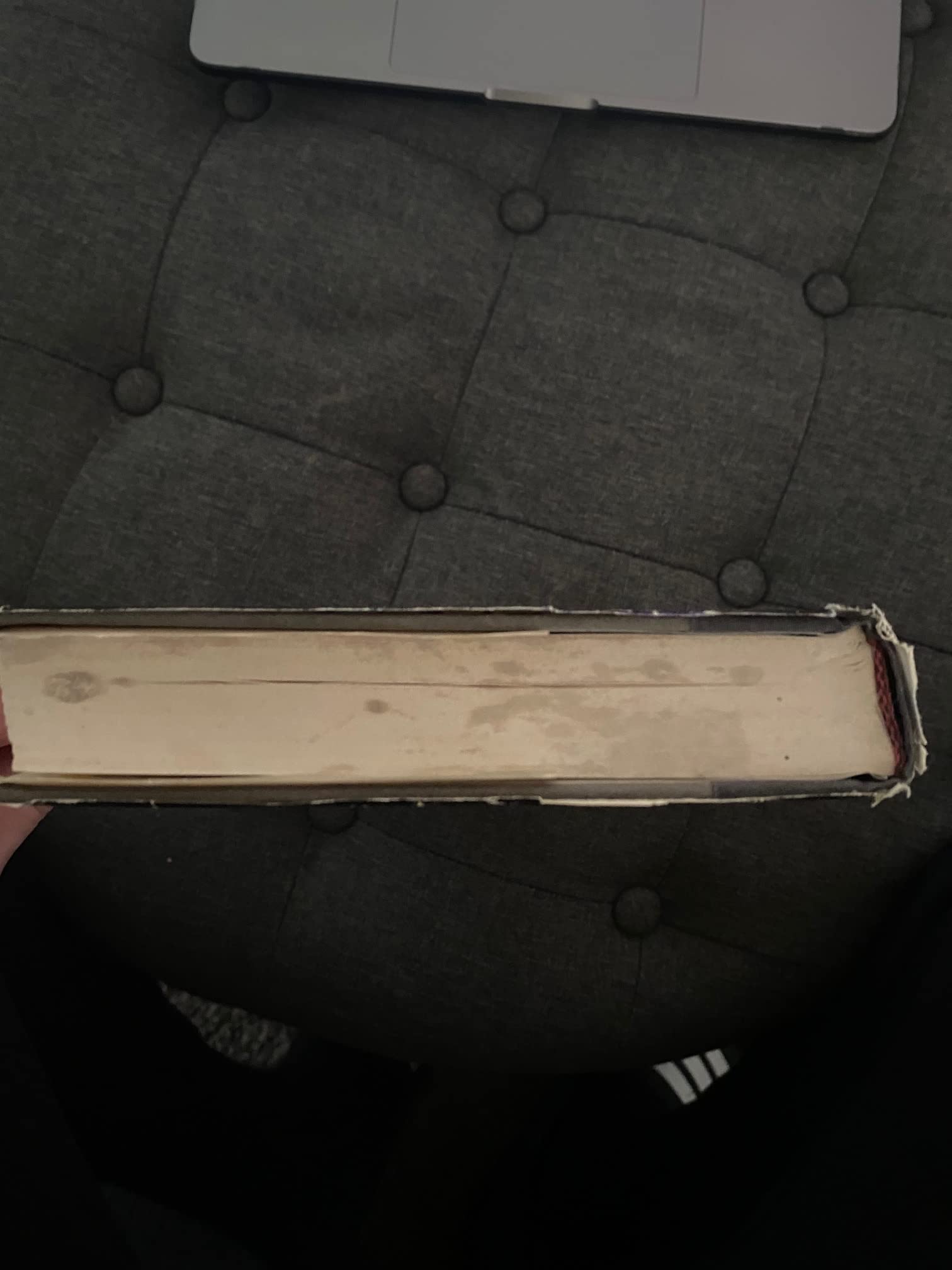 Stephen King: Carrie [1987 ]