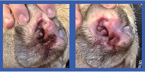 Miniatura 3 de Squishface Toallitas individuales para alivio de oídos para perros, ingredientes no alérgicos y fórmula reductora de irritación, limpia y