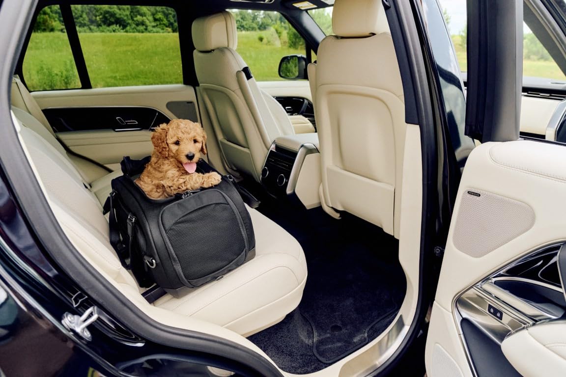 Tavo Dupree II Haustier‑Transportbox, Flugzeug‑konform, ISOFIX, atmungsaktives Mesh, Aufprallgeprüft, Geeignet für Hunde & Katzen bis 9 kg (Onyx)