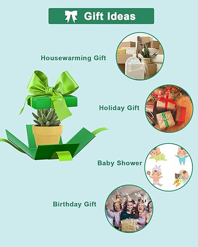 Miniatura 5 de vensovo 48 macetas pequeñas de terracota y terracota de 2 pulgadas con drenaje, mini maceta de cerámica de arcilla amarilla ideal para plantas de