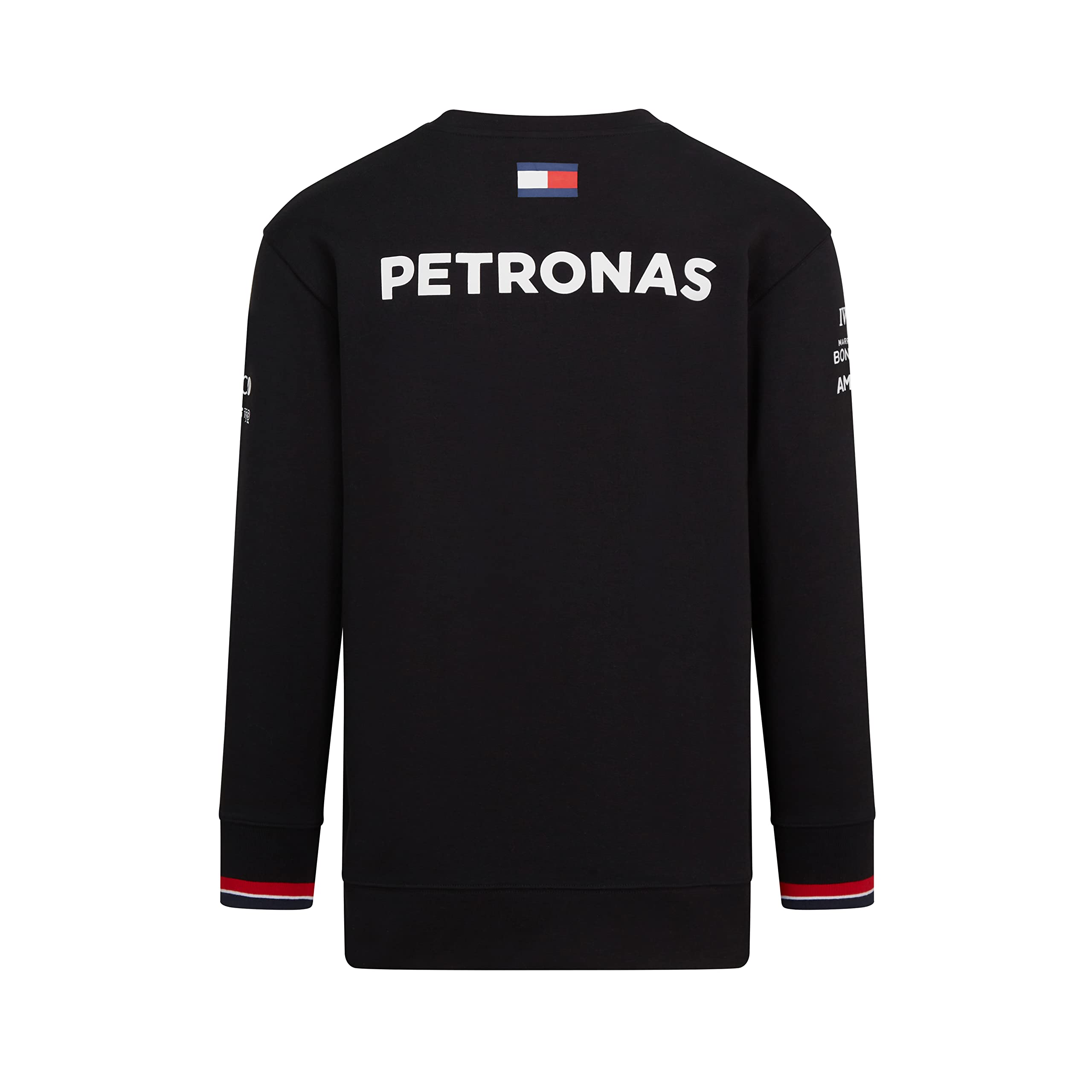 Mercedes AMG Petronas Formula One Team - Producto oficial de Fórmula 1 - Sudadera del equipo 2022