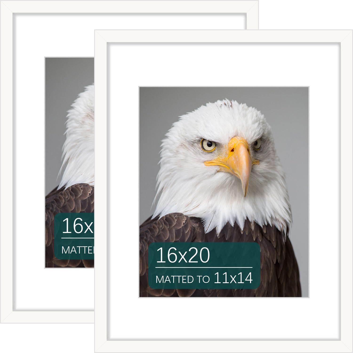 QMSHTUO 16x20 Picture Frame Set of 2, Solid Pine Wood Poster Frames with Detachable Mat for 11x14 Prints, Wall Hanging Photo Frame, Horizontally or Vertically Display, White