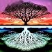 5D Diamond Painting,Rhinestone Diamond Embroidery Paintings Pictures DIY Paint with Diamonds Arts Craft for Home Wall Christmas Decor Full Drill 30 x 30 cm (Tree 2)