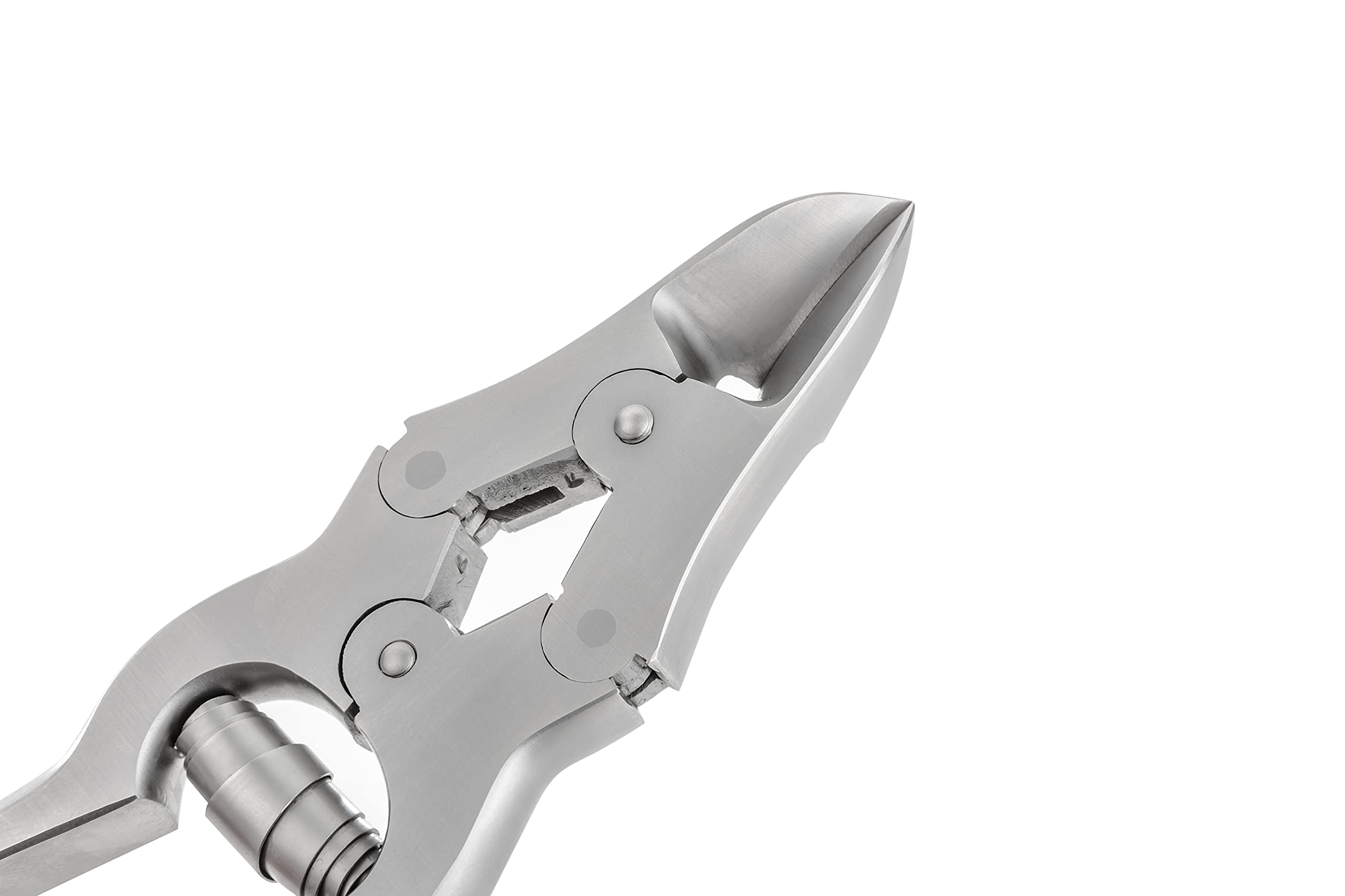 Pinza per pedicure con traduzione per unghie spesse, in acciaio inox, lunghezza 12 cm