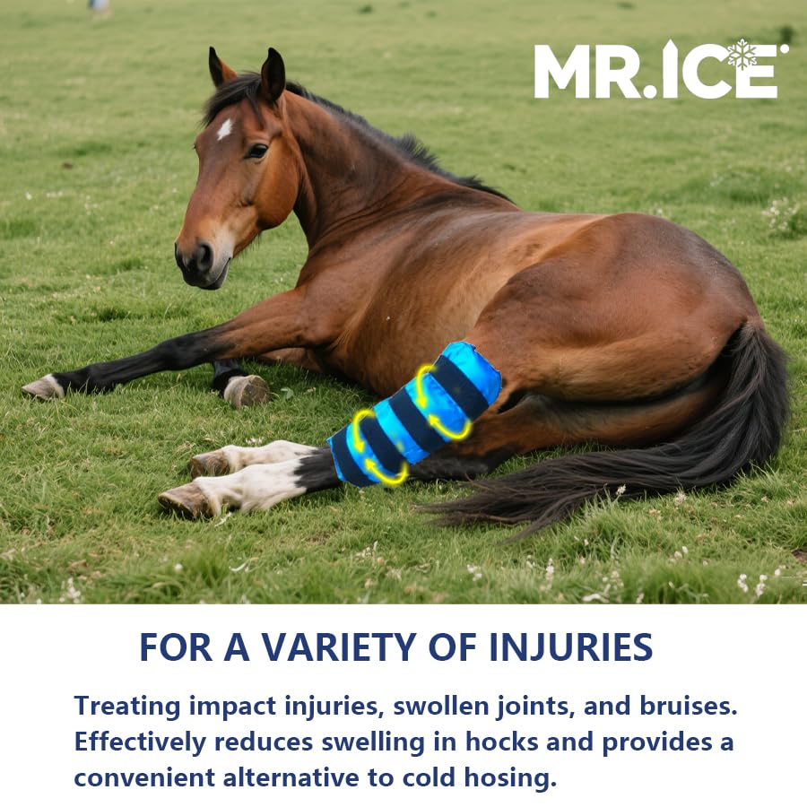 Horse Ice Boots - Reusable Gel Ice Pack for Horses | Cooling Leg Wraps for Hock, Knee, Ankle & Hooves | Horse Supplies & Care Gift Ideas - 1 Pair,: Blue