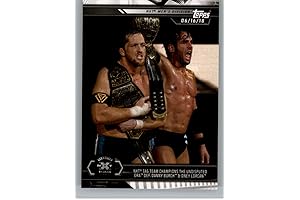 2019 Topps WWE NXT Undisputed Era Wrestling Cards