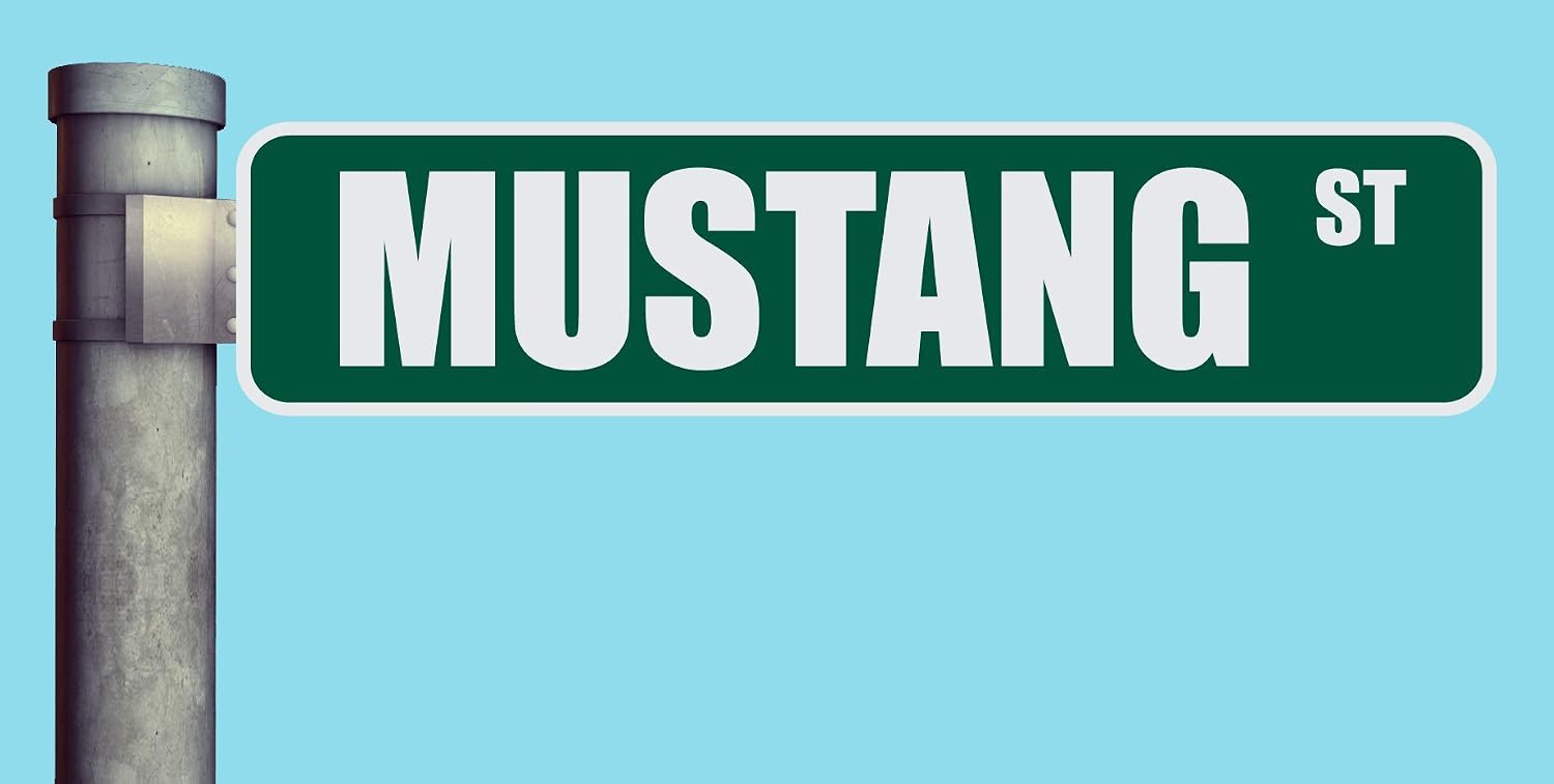 MUSTANG ST STREET SIGN HEAVY DUTY ALUMINUM ROAD SIGN 17" x 4"