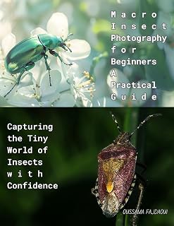 Macro Insect Photography for Beginners – A Practical Guide: Capturing the Tiny World of Insects with Confidence