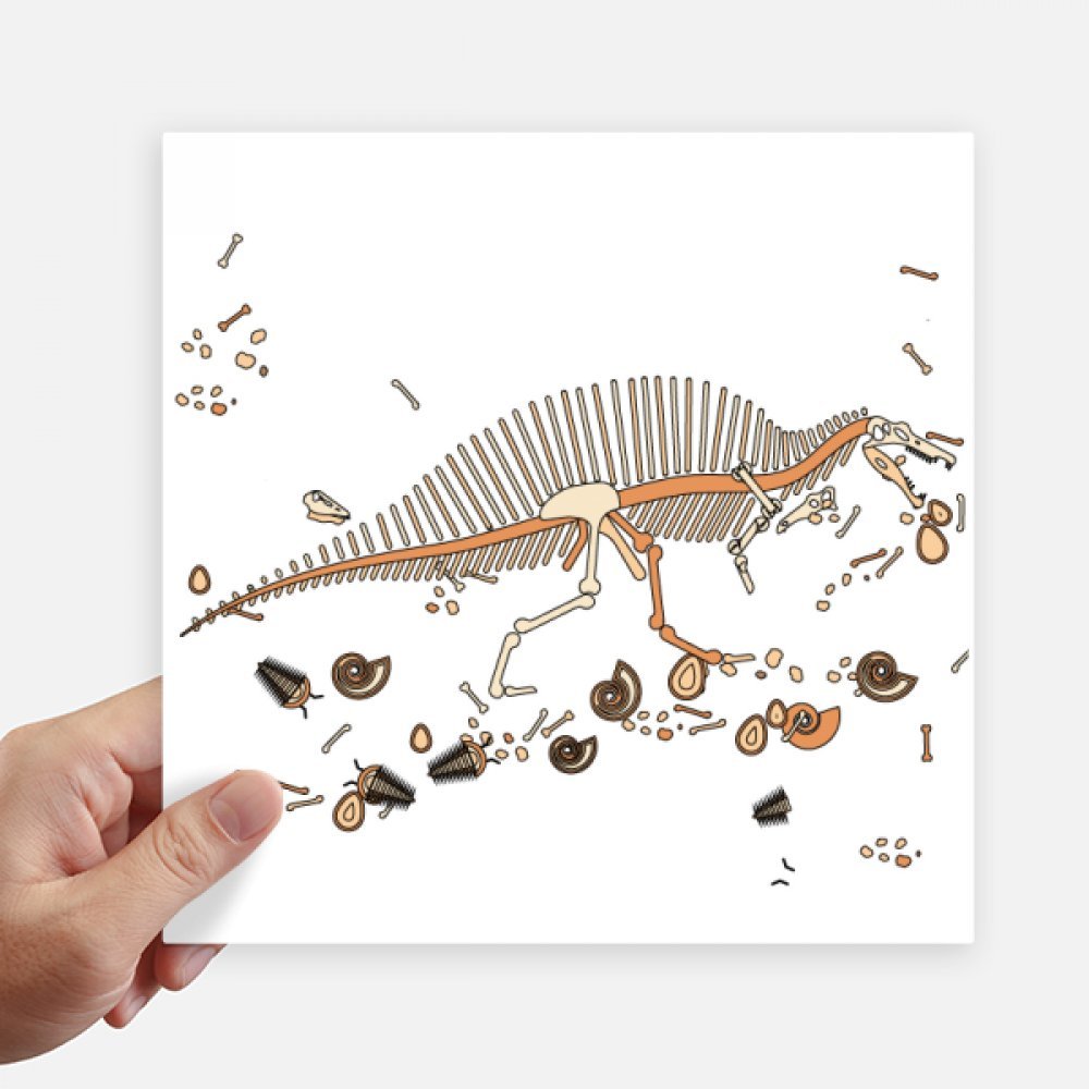 Autocollant carré dinosaure os 20 cm anti-rayure pour pc portable et moto x4