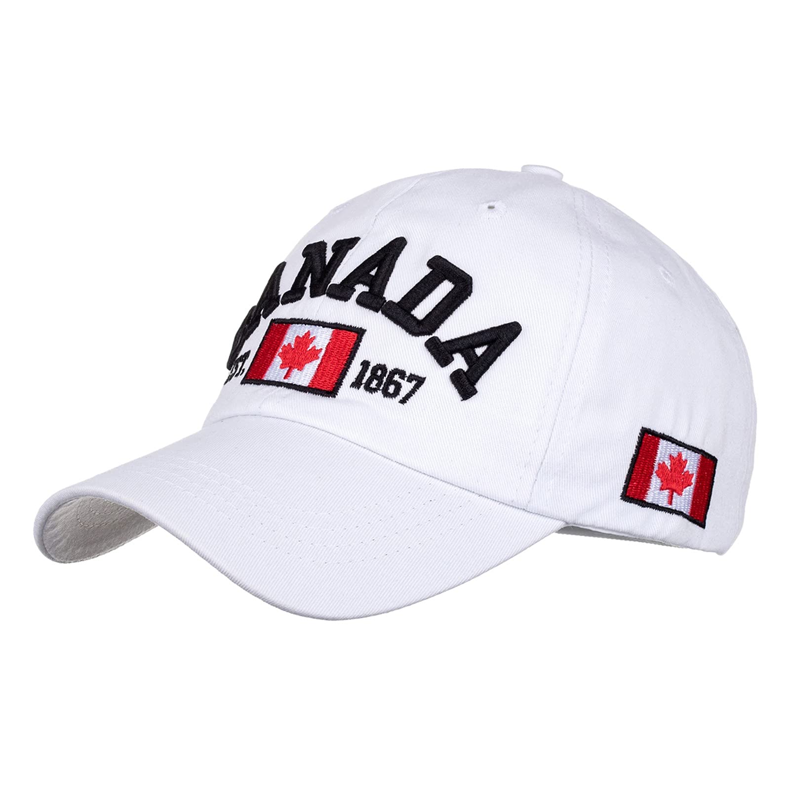 Profilo Degli Stati Uniti D'America Con La Bandiera Di U.S.a. Immagine - Foto 5