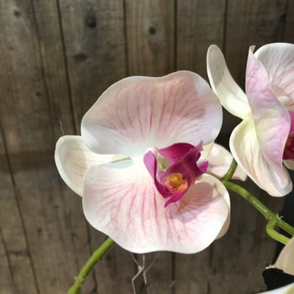 Orchidée papillon artificielle réaliste pour un décor floral durable et sans flétrissement