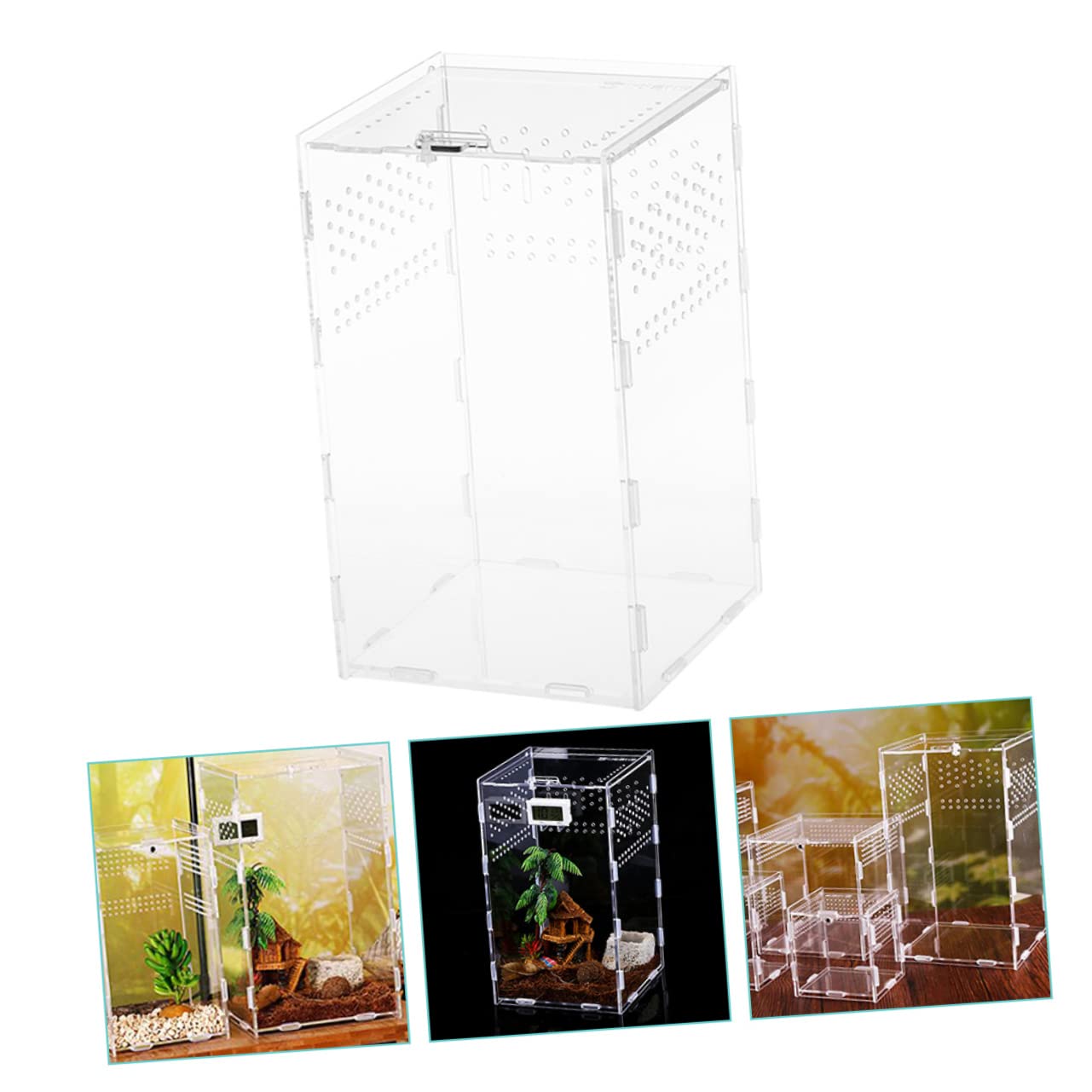 ibasenice Terrarium Magnetische Fütterungsbox für Reptilien aus Acryl mit Konstantem Luftstrom und Durchsichtige Zuchtbox für Schnecken und Frösche im Terrarium Zubehör