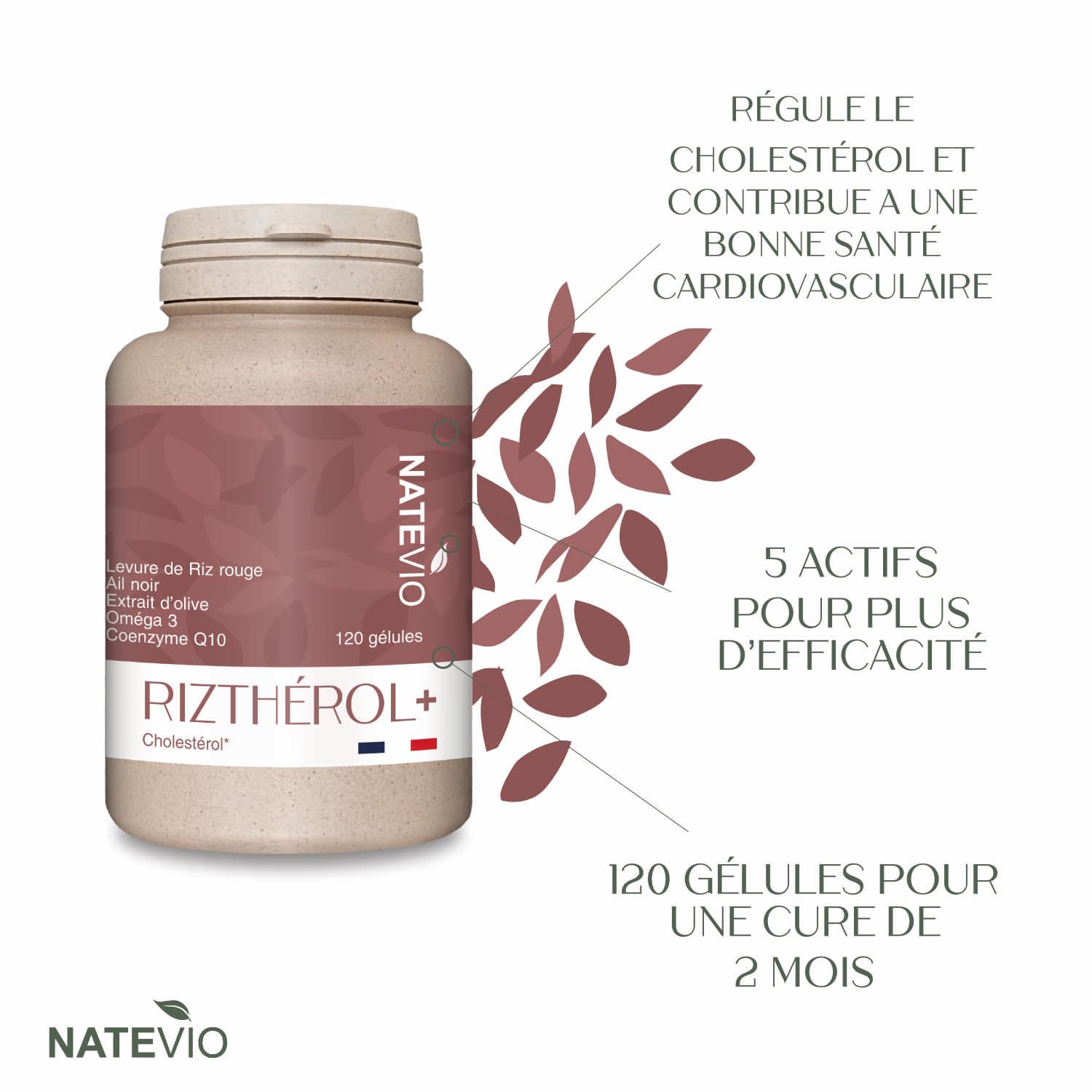 Riztherol+ 5 actifs - Levure de Riz Rouge - Ail Noir - Q10 - Omega 3 - Extrait Olive - Cure de 2 mois